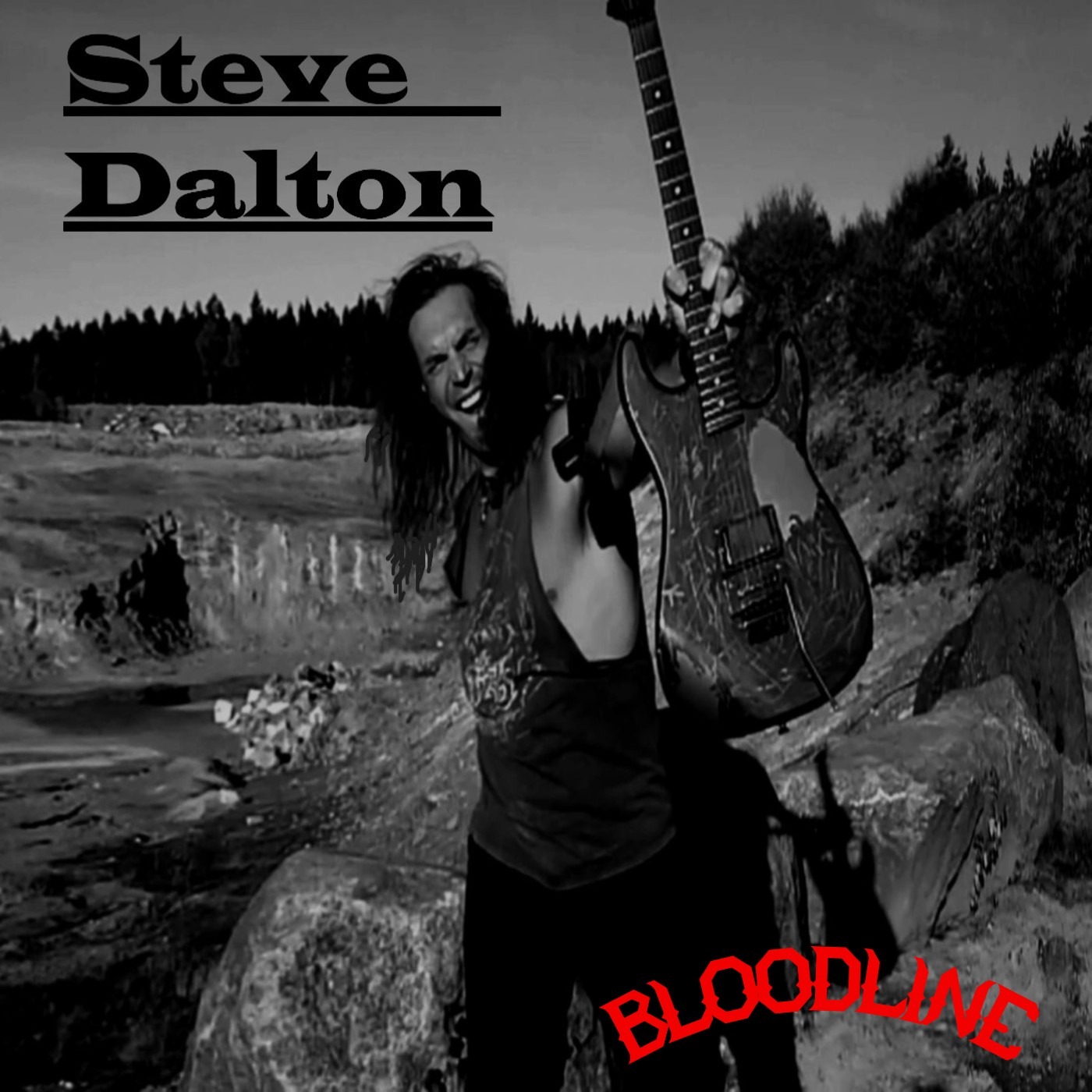 STEVE DALTON